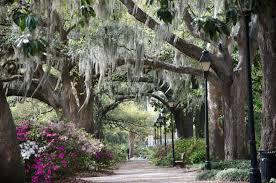 Savannah_Walkway